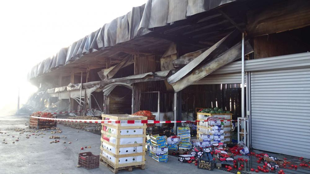 Тъжно! СНИМКИ показват какво остана от борсата край Кърналово след огнената стихия