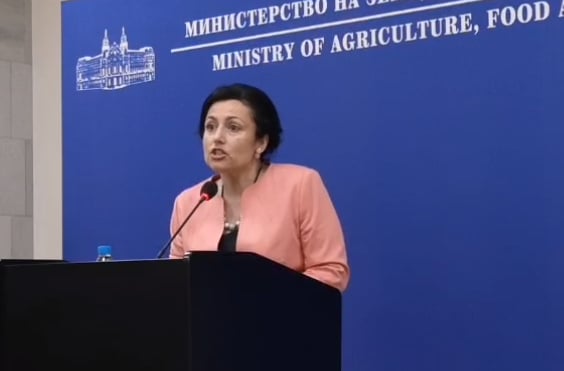 Министър Танева: Записът е изваден от контекста НА ЖИВО 