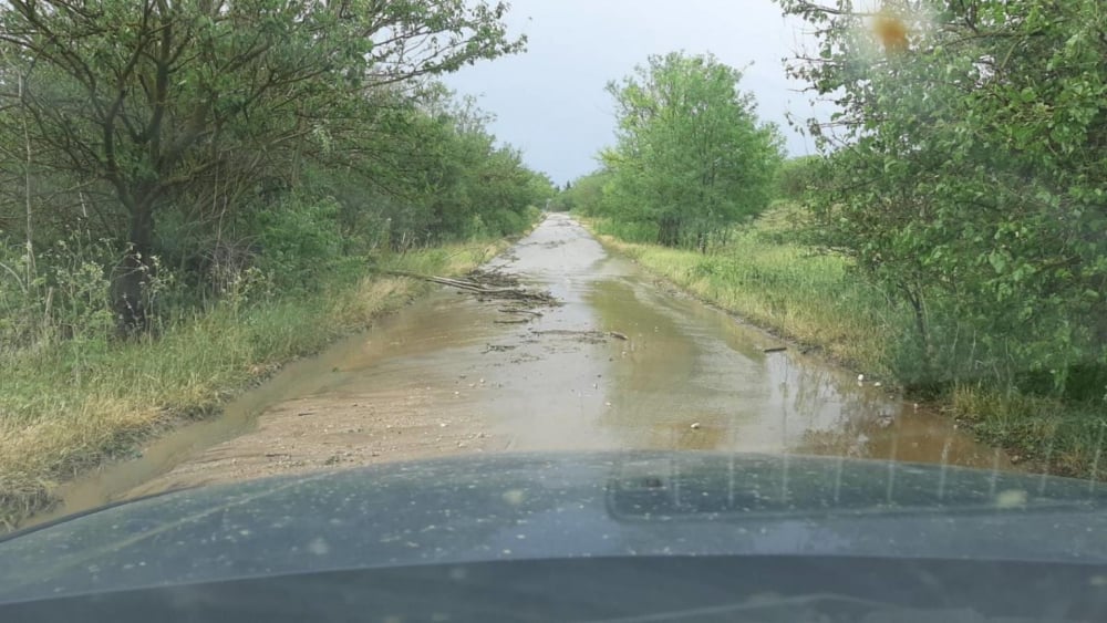 Градушка помля Добричко, хората си скубят косите СНИМКИ