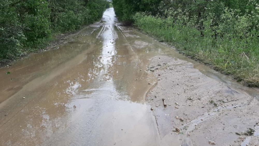 Градушка помля Добричко, хората си скубят косите СНИМКИ