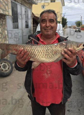 Хаджидимовски рибар извади страшен звяр от река Места СНИМКА