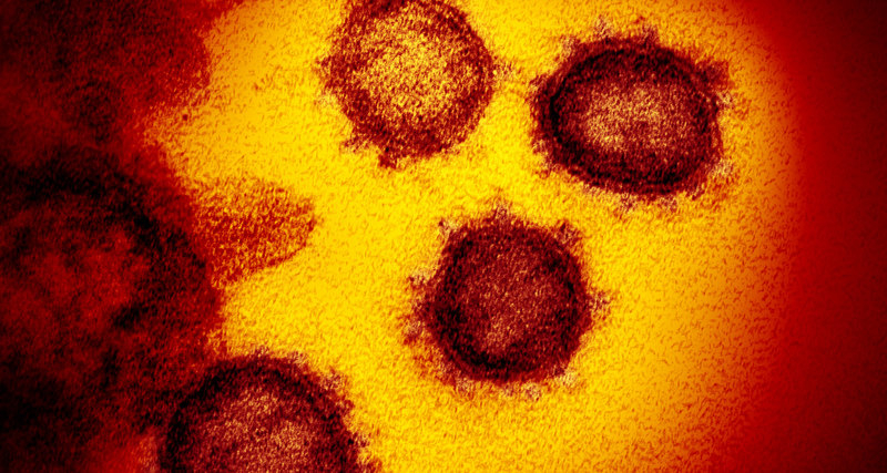 Учен от Норвегия смята, че коронавирусът е създаден от САЩ и Китай