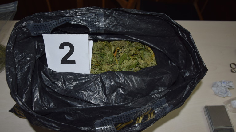 Спецакция в Сливен: иззеха 6 килограма марихуана, има задържани