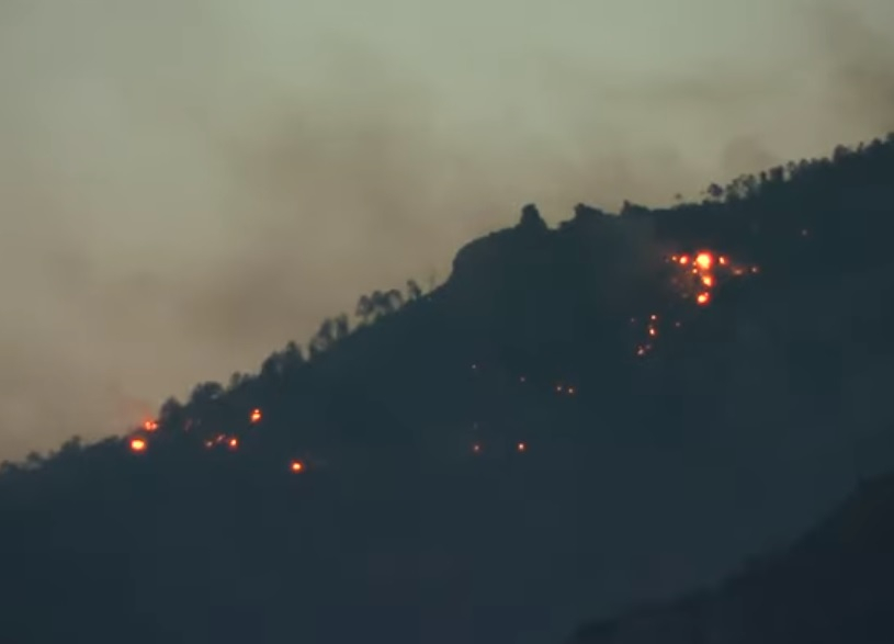 Повече от 2000 души бяха евакуирани заради горски пожари ВИДЕО