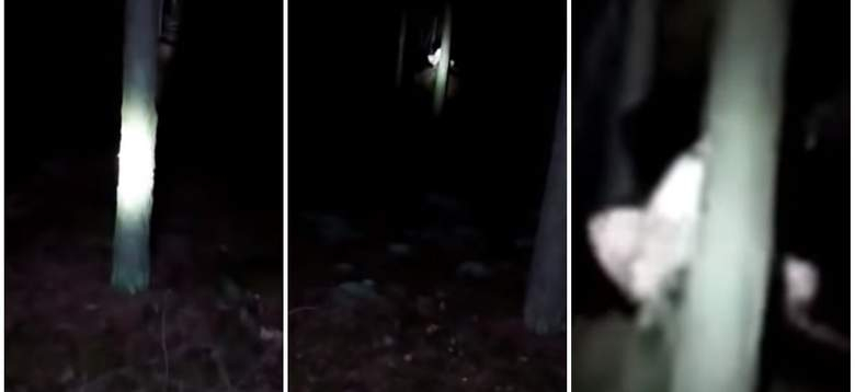 Младеж засне ВИДЕО със загадъчно същество, раздиращо нощта с викове