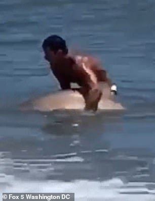Страховито: Мъж се бори с акула с голи ръце, отваря й устата да ги снимат ВИДЕО