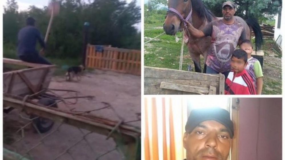 Жестокост: Циганин от Враца впрегна куче в каруца, чаветата го налагат с лопата ВИДЕО