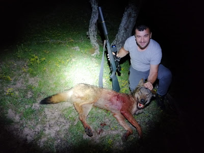 Гюлюстан от Боровица уби два кръвожадни звяра СНИМКИ