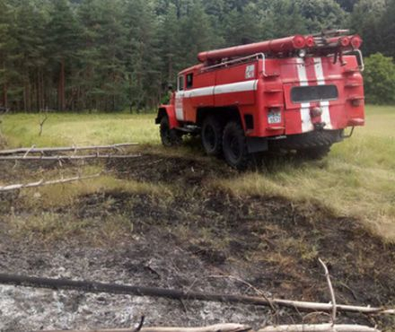 Пожар вилня в Родопите СНИМКИ 