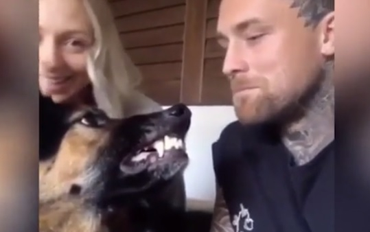 Трогателно ВИДЕО: Ревниво куче не позволи на младеж да целуне приятелката си