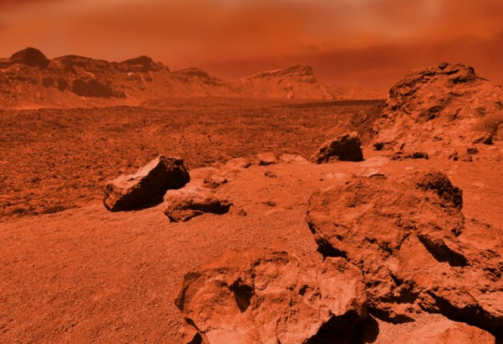 Така ли изглеждат марсианците? На СНИМКА от червената планета откриха странно същество