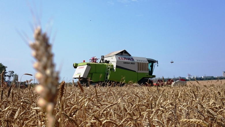 Добруджа плаче: Невиждана от 20 години суша изпепели реколтата от пшеница
