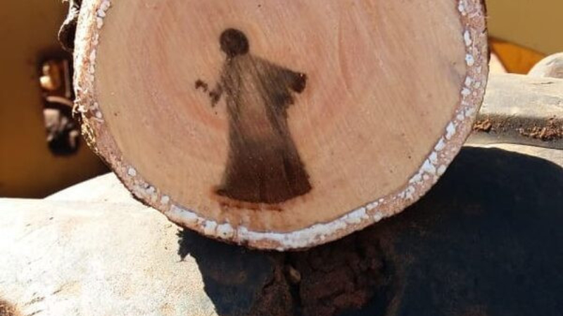 В Бразилия върху отсечено дърво откриха изображение на Исус Христос СНИМКИ