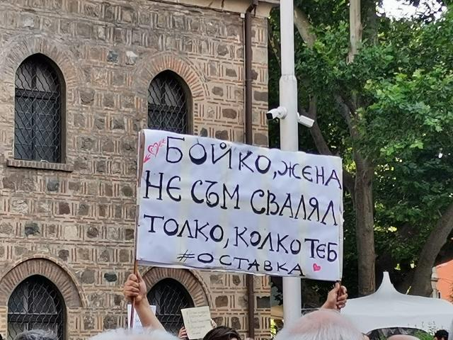 Сексуална енергия витае на протестите в София СНИМКИ 18+