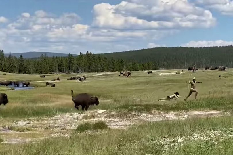 Туристка се спаси от разярен бизон по удивителен начин ВИДЕО