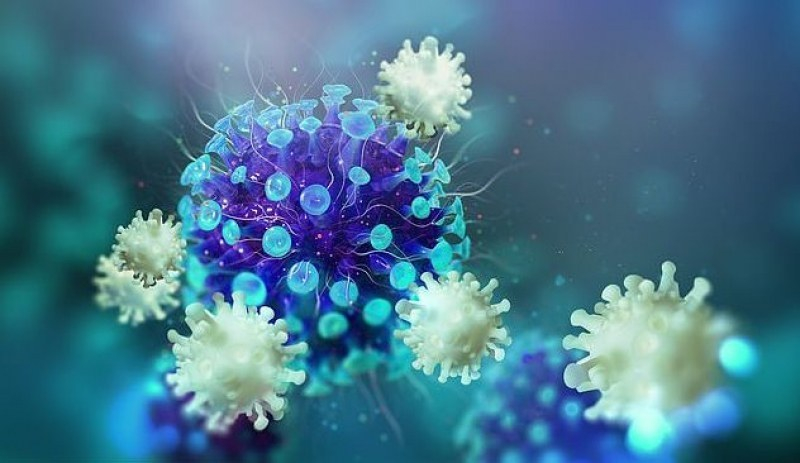 Учени разкриха още една опасна страна на коронавируса 