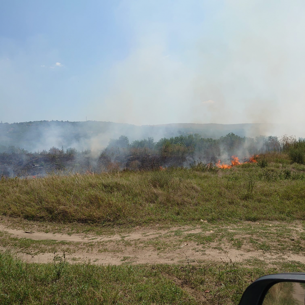 Еколози сигнализираха за пожар в близост до дюните край Оряхово СНИМКИ