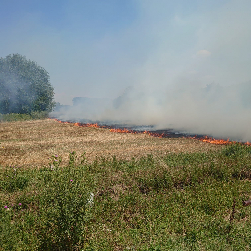Еколози сигнализираха за пожар в близост до дюните край Оряхово СНИМКИ