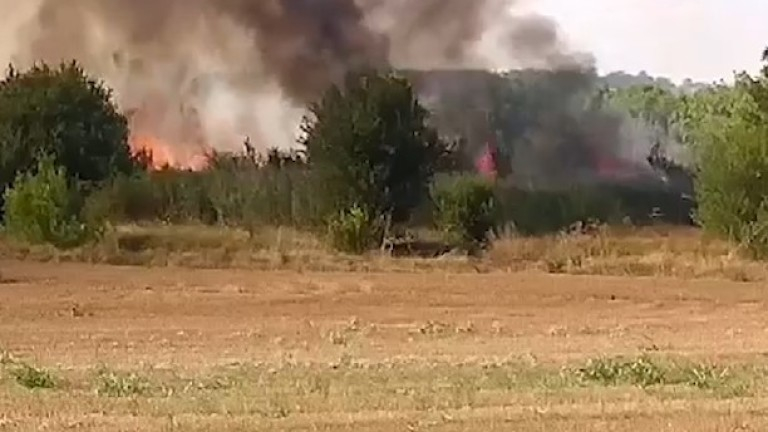 Пожарът в Хасковско обхвана 1 000 дка гора