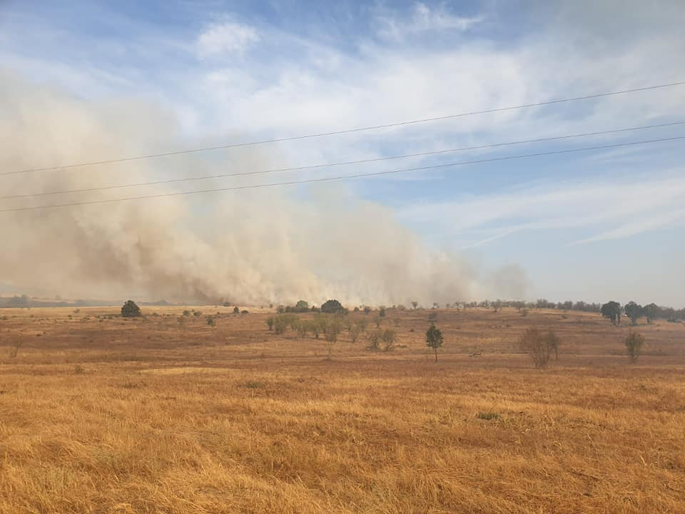 Пожар и край Асеновград