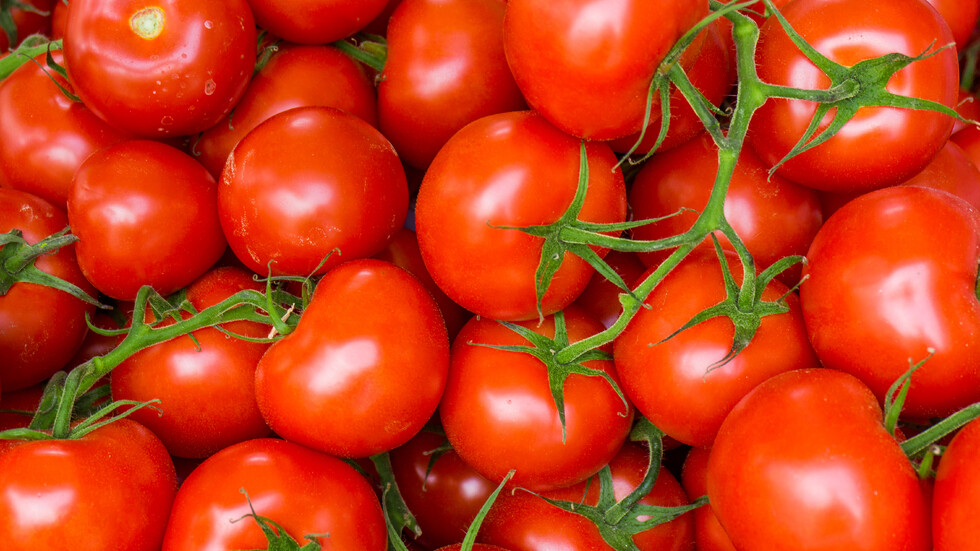 Родна хубавица подреди доматите на сергия и не е за вярване какво написа СНИМКИ