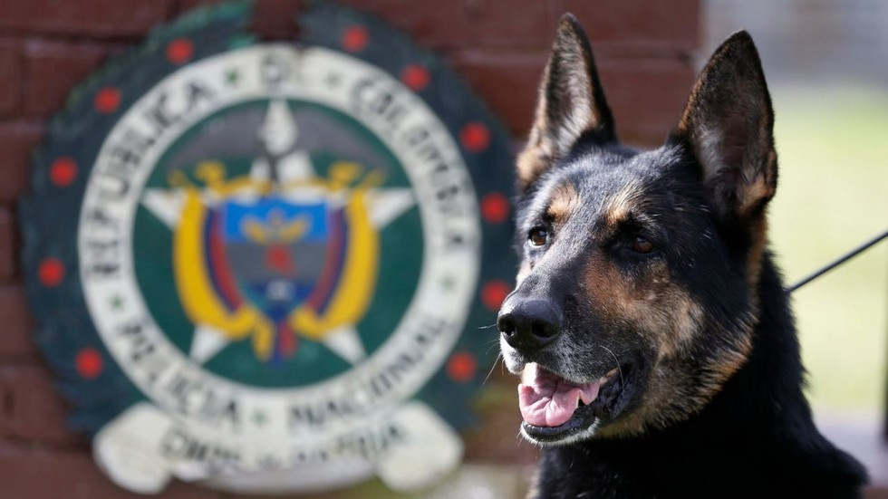 Полицейско куче направи голям удар на летище