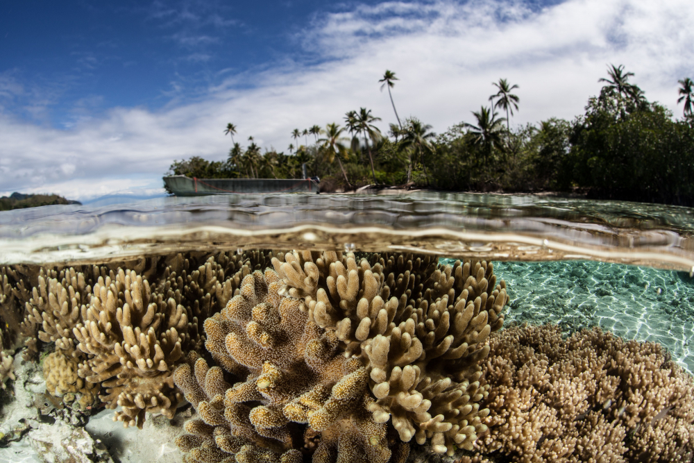 Непокварените Соломонови острови, които туристите още не са налазили