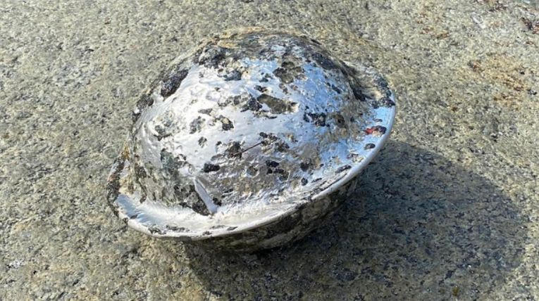 Странен симетричен предмет, който бе открит на плаж, шашна мрежата СНИМКА