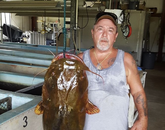 Рибар извади истинско чудовище от реката СНИМКА 