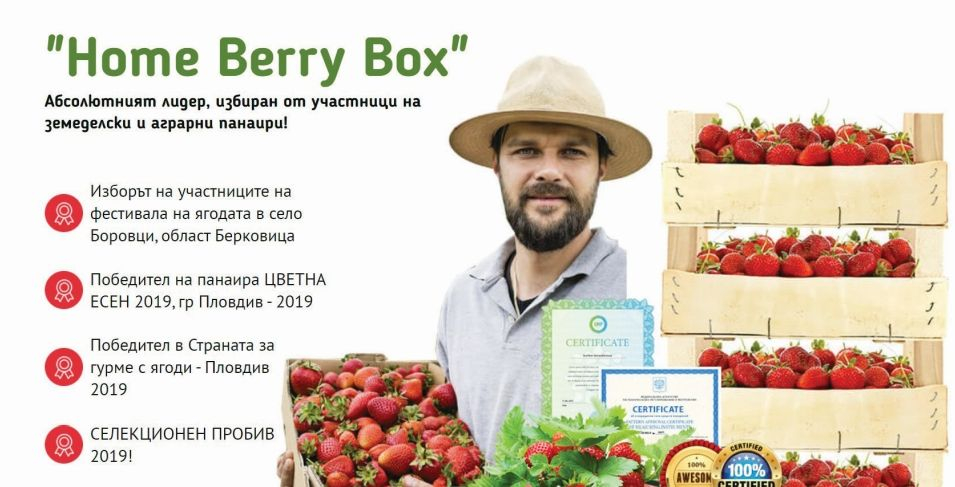 Нагла измама: Нов сорт семена за ягоди обещава печалба от хиляди месечно