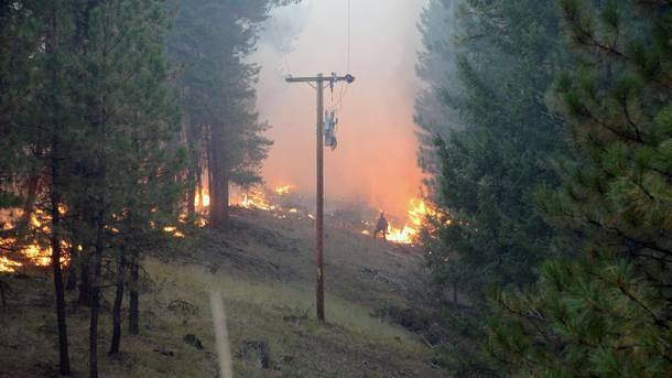 Над 1 милион хектара са обхванати от пожари в три американски щата