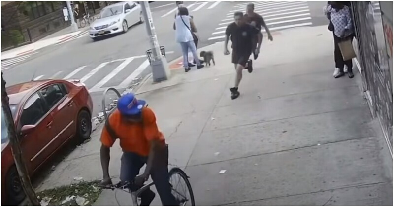 Пожарникари догониха чернокож велосипедист, зашлевил възрастна пешеходка и стана мазало ВИДЕО