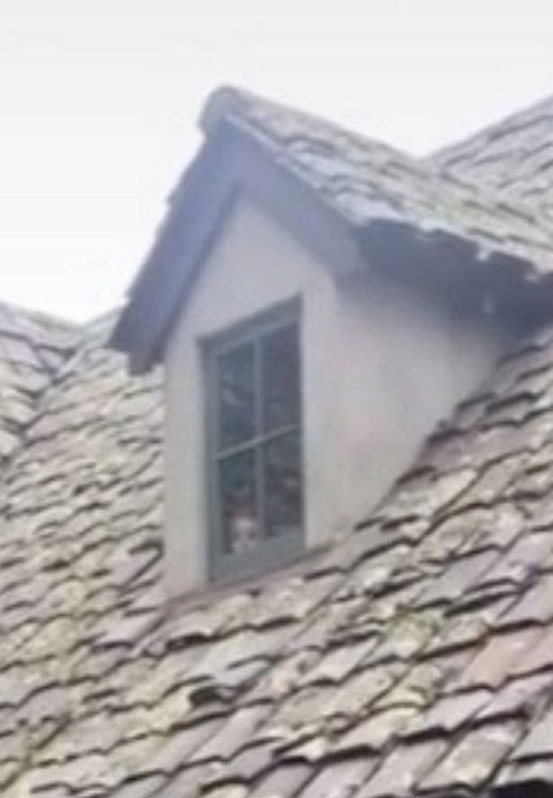 Жена засне изоставена къща, но вътре се появи нещо страховито