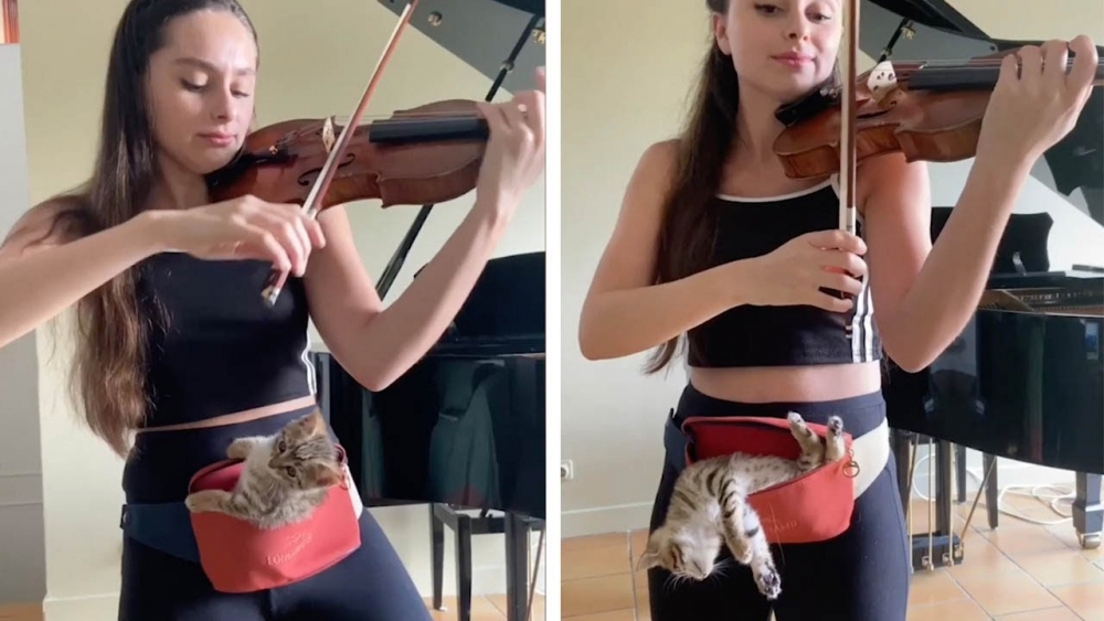 Виртуозна цигуларка свири на своето котенце, целият свят е в захлас ВИДЕО