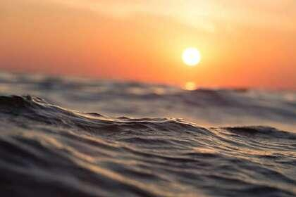 Учени: Идва катастрофа в океаните!