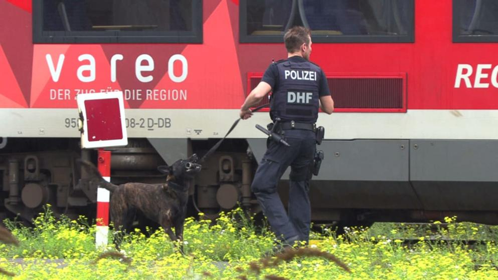 Чистачка предотврати страшна касапница с много трупове в германски влак СНИМКИ
