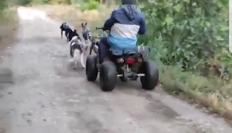 Бруталната жестокост на този лекар взриви мрежата ВИДЕО 