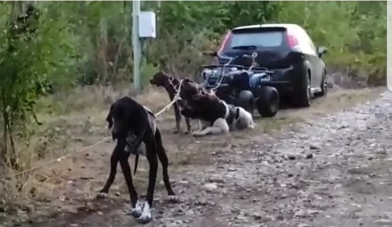 Бруталната жестокост на този лекар взриви мрежата ВИДЕО 