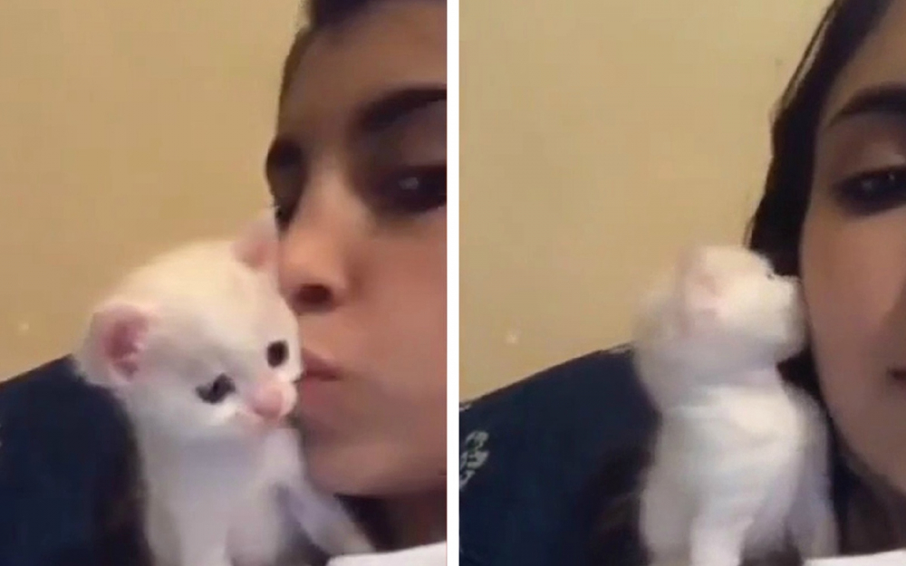 Котенце отвърна на целувката на момиче и умили мрежата ВИДЕО