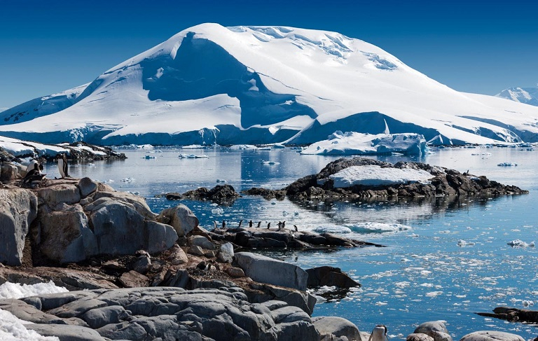 Учени са в шок от тази напаст, нападнала Антарктида