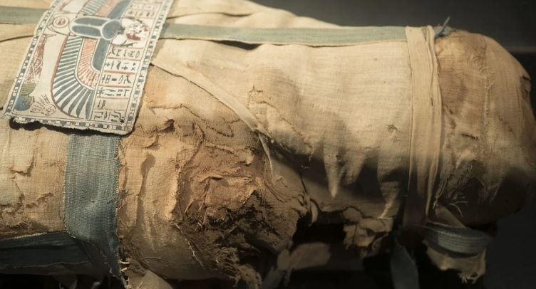 Откриха мумия на 4500 години, която може да промени древната египетска история