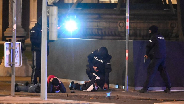 Експерт по тероризма разкри защо потопиха в кръв точно Виена