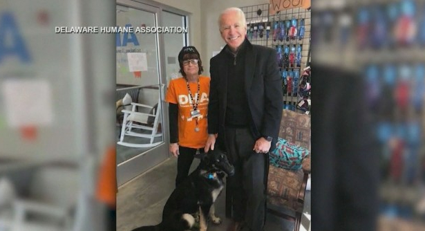 Кучето на Джо Байдън ще е първото в Белия дом, дошло от приют