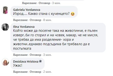 Брутална жестокост посред бял ден смрази столичния кв. "Надежда" ВИДЕО