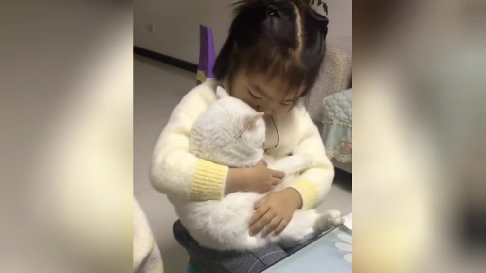 Трогателната прегръдка на малко момиченце и пухкава котка бе запечатана на ВИДЕО