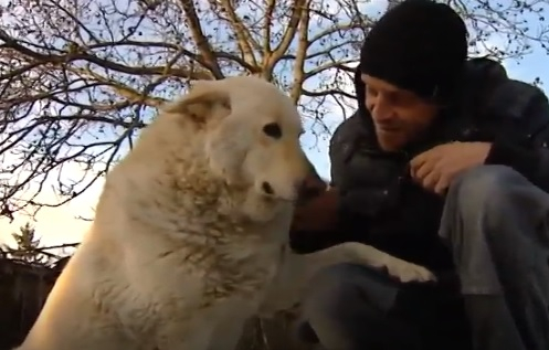 Неверояна развръзка с кучето Белчо, намушкано брутално с нож в София