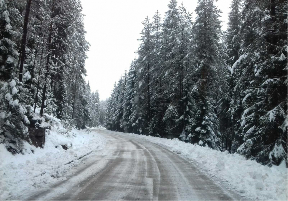 АПИ с първи СНИМКИ на снегокалипсиса в Родопите, без зимни гуми да не се тръгва