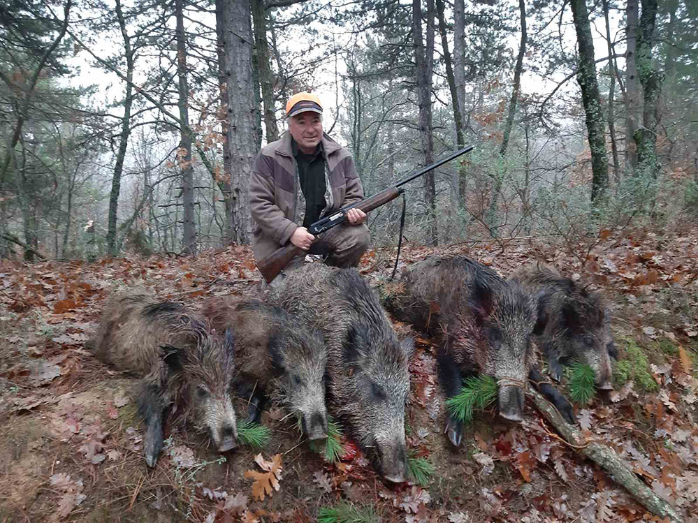 Рекорд: Авджия повали 5 диви прасета с 4 изстрела в Крумовградско! СНИМКА 