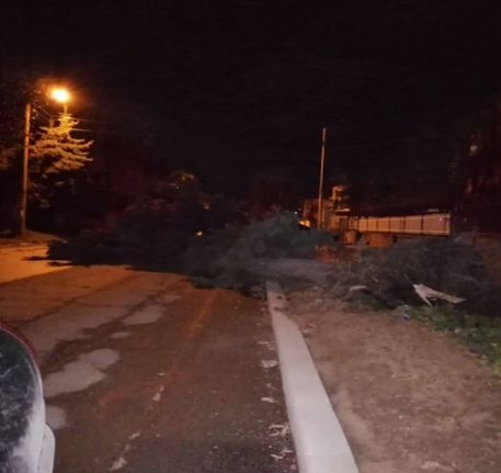 Силният вятър направи страшни поразии в София 