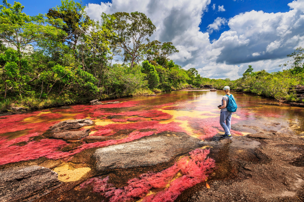 Феноменалната река с пет различни цвята